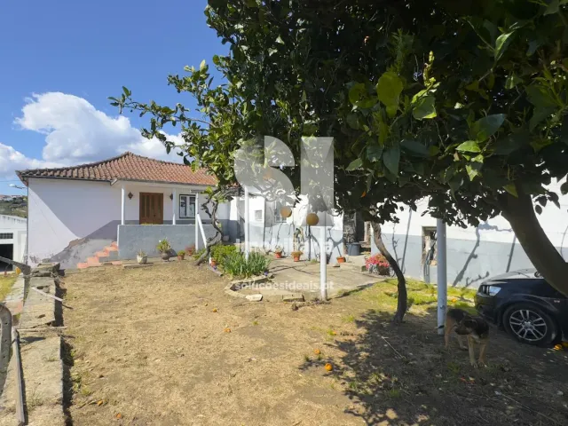 Quinta T3 - Fontelas, Peso da R�gua, Vila Real - Miniatura: 18/36