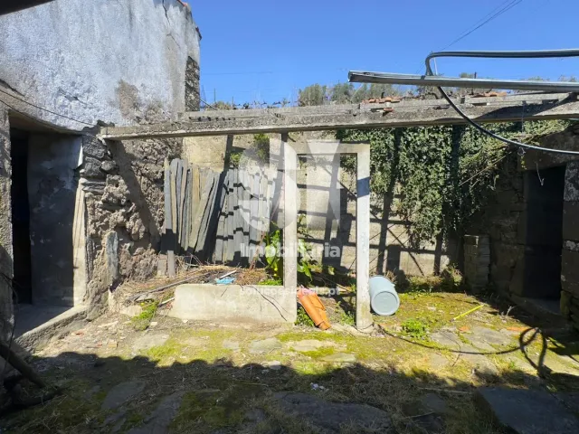 Quinta T3 - Fontelas, Peso da R�gua, Vila Real - Miniatura: 19/36