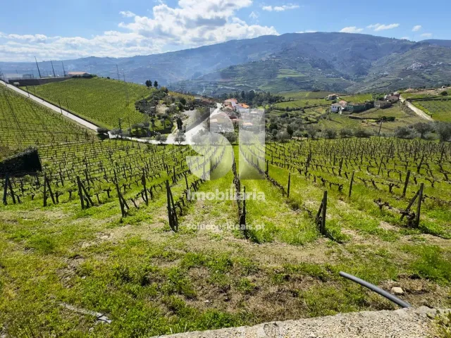 Quinta T3 - Fontelas, Peso da R�gua, Vila Real - Miniatura: 22/36