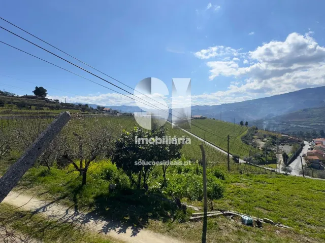 Quinta T3 - Fontelas, Peso da R�gua, Vila Real - Miniatura: 24/36