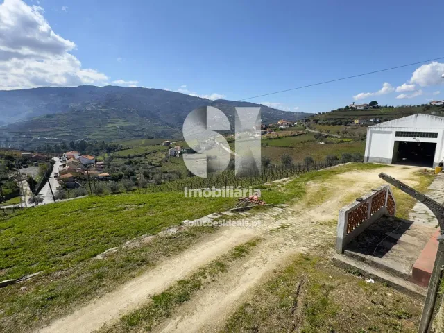 Quinta T3 - Fontelas, Peso da R�gua, Vila Real - Miniatura: 25/36