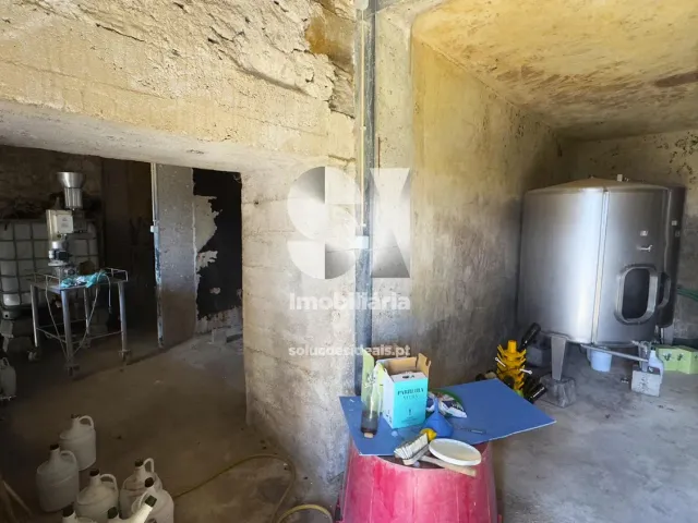 Quinta T3 - Fontelas, Peso da R�gua, Vila Real - Miniatura: 31/36