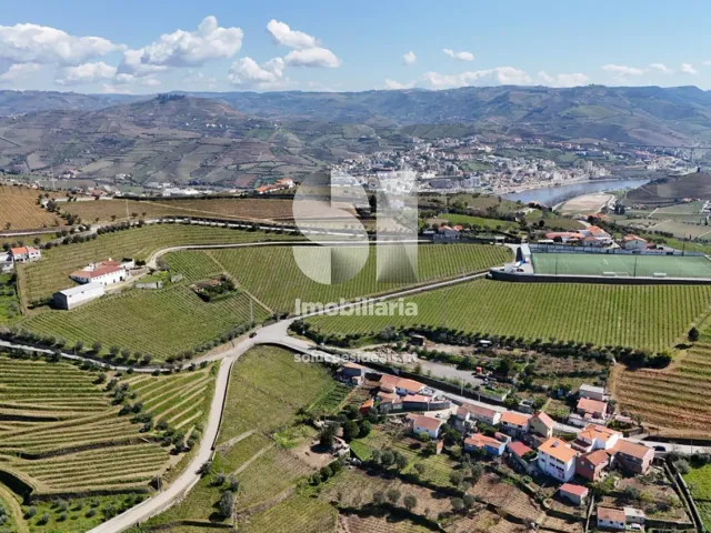 Quinta T3 - Fontelas, Peso da R�gua, Vila Real - Miniatura: 34/36