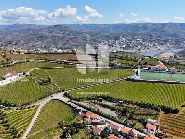 Quinta T3 - Fontelas, Peso da R�gua, Vila Real - Miniatura: 35/36