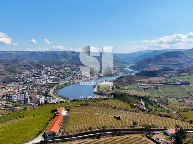 Quinta T3 - Fontelas, Peso da R�gua, Vila Real - Miniatura: 36/36