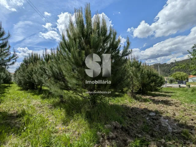 Terreno Urbano T0 - Folques, Arganil, Coimbra - Miniatura: 10/12