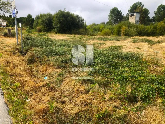 Terreno Urbano T0 - S�o Tom� do Castelo e Justes, Vila Real, Vila Real - Miniatura: 4/19