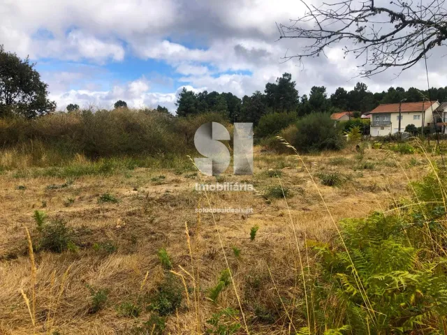 Terreno Urbano T0 - S�o Tom� do Castelo e Justes, Vila Real, Vila Real - Miniatura: 16/19