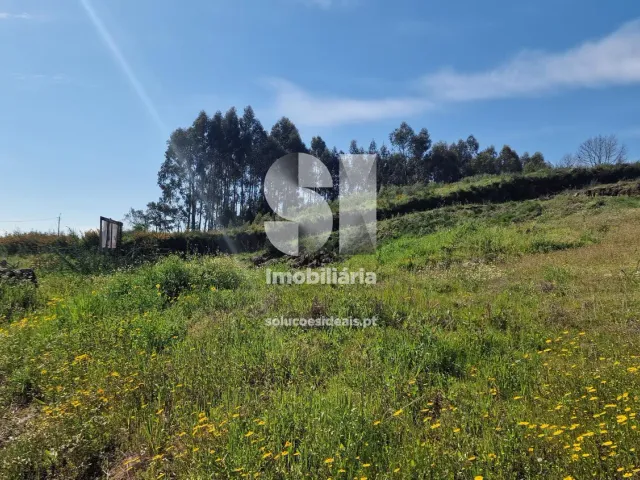 Terreno Urbano T0 - TERMAS DE S�O VICENTE, Penafiel, Porto - Miniatura: 31/49