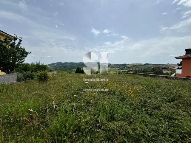 Terreno Urbano T0 - Pa�os, Sabrosa, Vila Real - Miniatura: 5/9