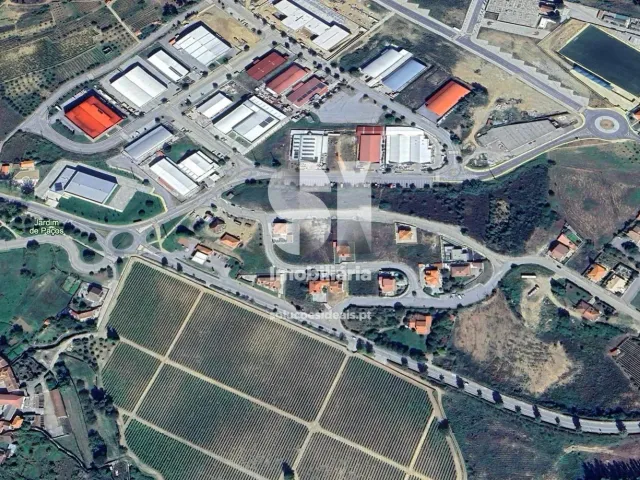 Terreno Urbano T0 - Pa�os, Sabrosa, Vila Real - Miniatura: 7/9