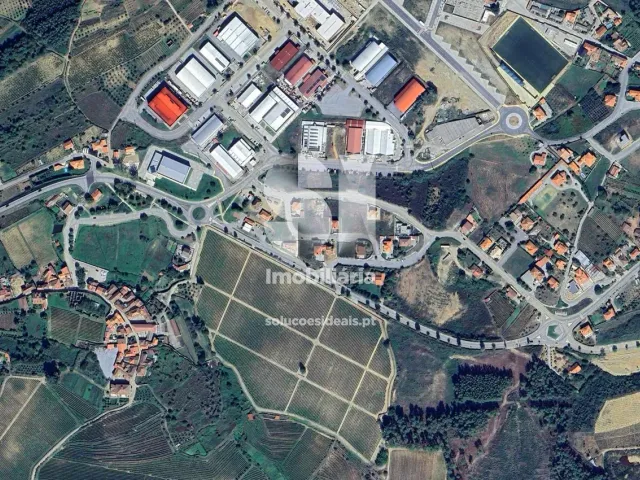 Terreno Urbano T0 - Pa�os, Sabrosa, Vila Real - Miniatura: 8/9