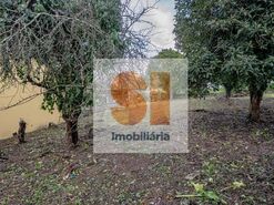 Moradia T4 - Penacova, Penacova, Coimbra - Miniatura: 21/33