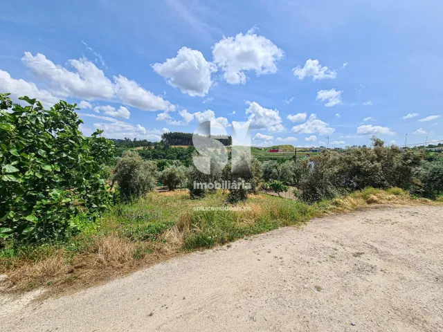 Terreno Urbano T0 - Fragosela, Viseu, Viseu - Miniatura: 2/16