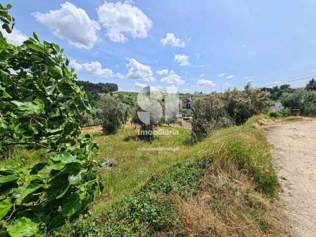 Terreno Urbano T0 - Fragosela, Viseu, Viseu - Miniatura: 4/16