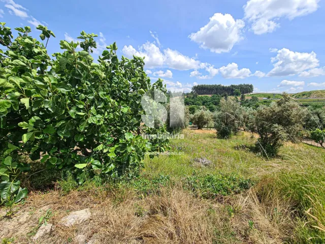 Terreno Urbano T0 - Fragosela, Viseu, Viseu - Miniatura: 9/16