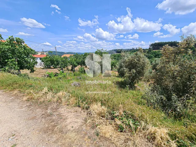 Terreno Urbano T0 - Fragosela, Viseu, Viseu - Miniatura: 14/16