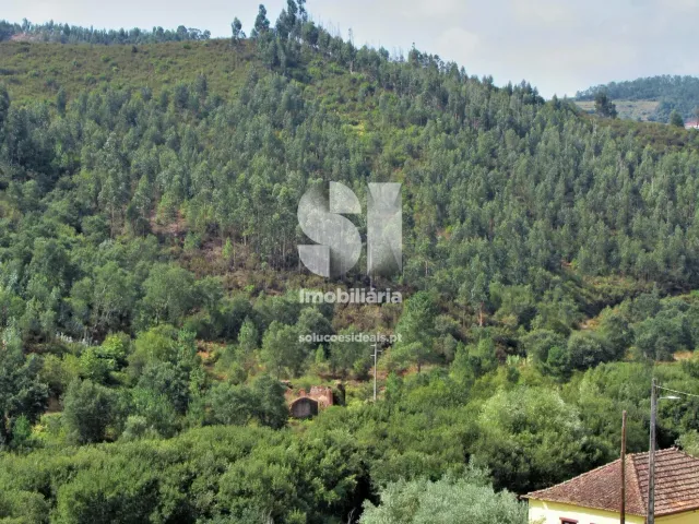 Moradia T3 - Almalagu�s, Coimbra, Coimbra - Miniatura: 15/19