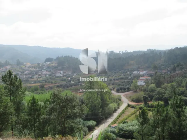 Moradia T3 - Almalagu�s, Coimbra, Coimbra - Miniatura: 17/19