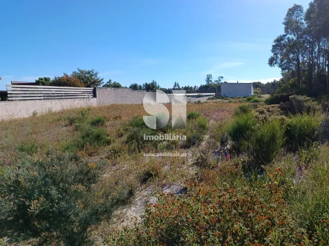 Terreno R�stico T0 - Vieira de Leiria, Marinha Grande, Leiria - Miniatura: 1/12