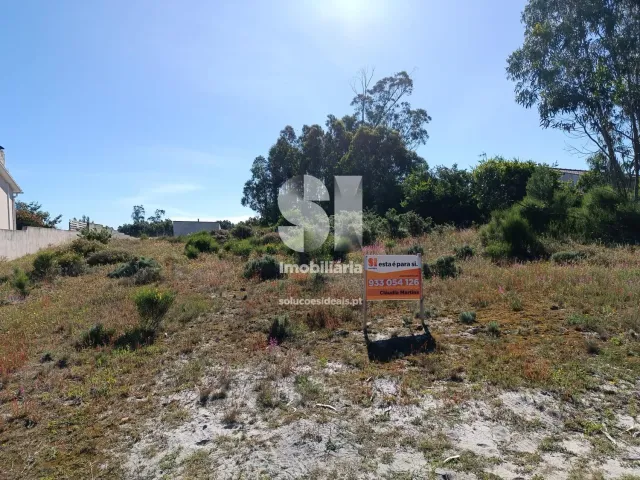 Terreno R�stico T0 - Vieira de Leiria, Marinha Grande, Leiria - Miniatura: 2/12