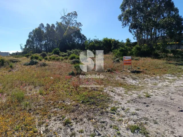 Terreno R�stico T0 - Vieira de Leiria, Marinha Grande, Leiria - Miniatura: 7/12