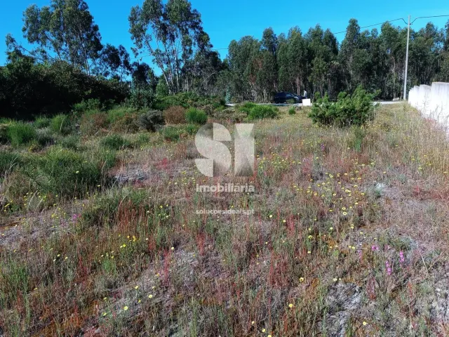 Terreno R�stico T0 - Vieira de Leiria, Marinha Grande, Leiria - Miniatura: 8/12