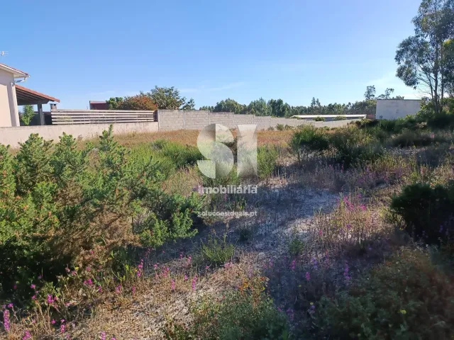 Terreno R�stico T0 - Vieira de Leiria, Marinha Grande, Leiria - Miniatura: 12/12