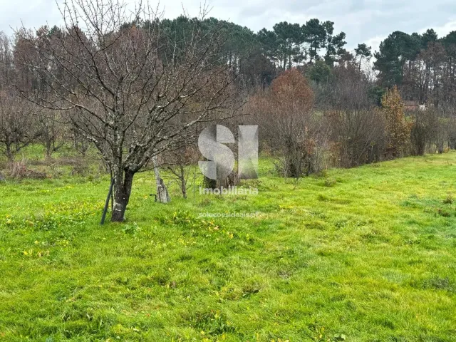 Terreno Urbano T0 - Vila Marim, Vila Real, Vila Real - Miniatura: 25/37