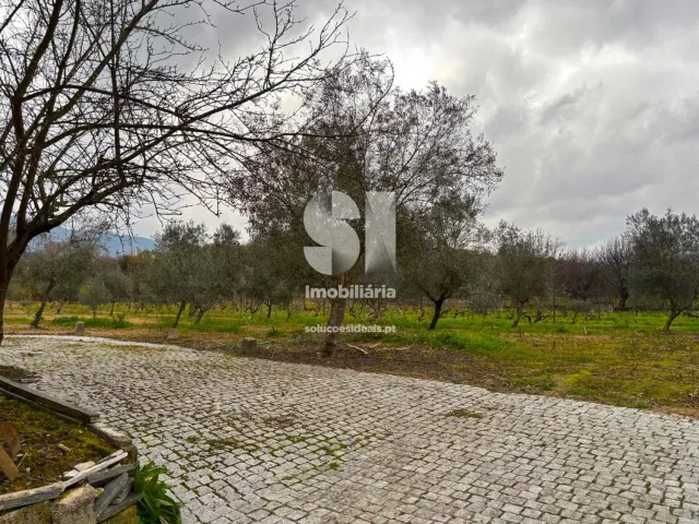 Terreno Urbano T0 - Vila Marim, Vila Real, Vila Real - Miniatura: 26/37