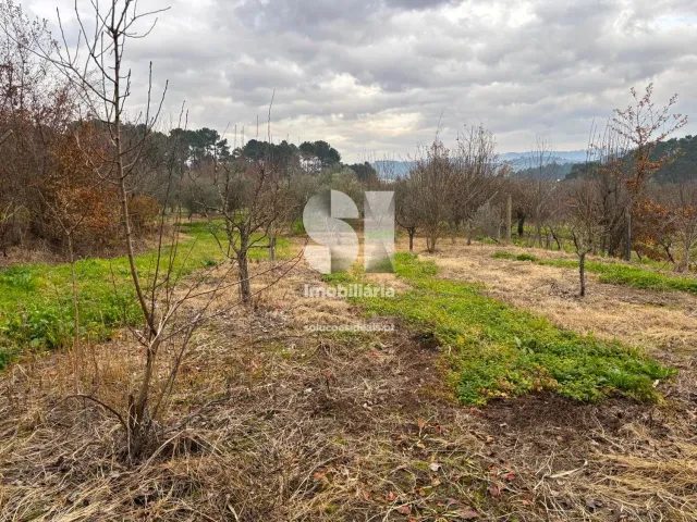 Terreno Urbano T0 - Vila Marim, Vila Real, Vila Real - Miniatura: 29/37