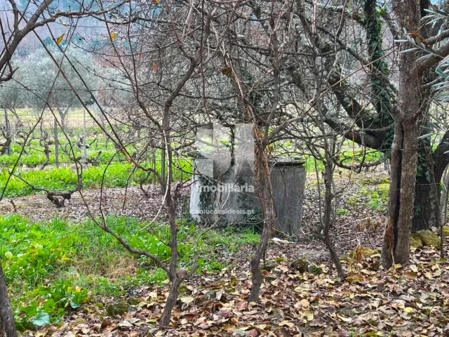 Terreno Urbano T0 - Vila Marim, Vila Real, Vila Real - Miniatura: 30/37