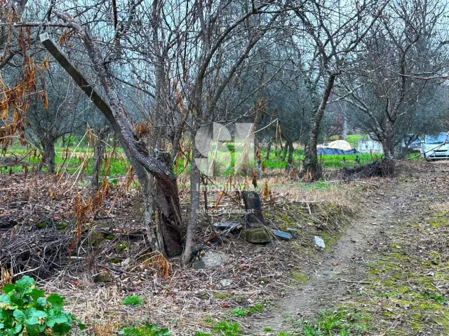 Terreno Urbano T0 - Vila Marim, Vila Real, Vila Real - Miniatura: 31/37