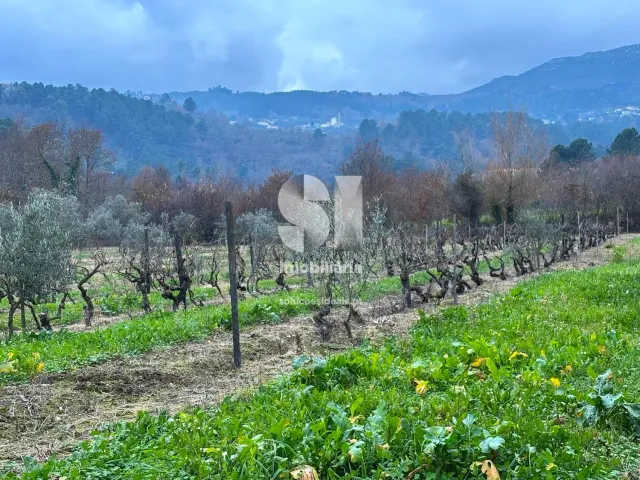 Terreno Urbano T0 - Vila Marim, Vila Real, Vila Real - Miniatura: 32/37