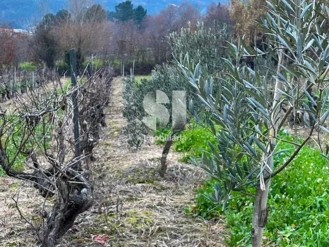 Terreno Urbano T0 - Vila Marim, Vila Real, Vila Real - Miniatura: 33/37