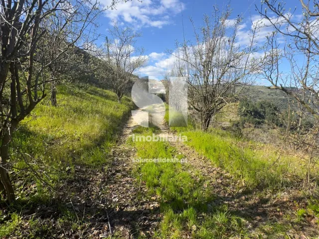 Moradia T4 - Cumieira, Santa Marta de Penagui�o, Vila Real - Miniatura: 26/29