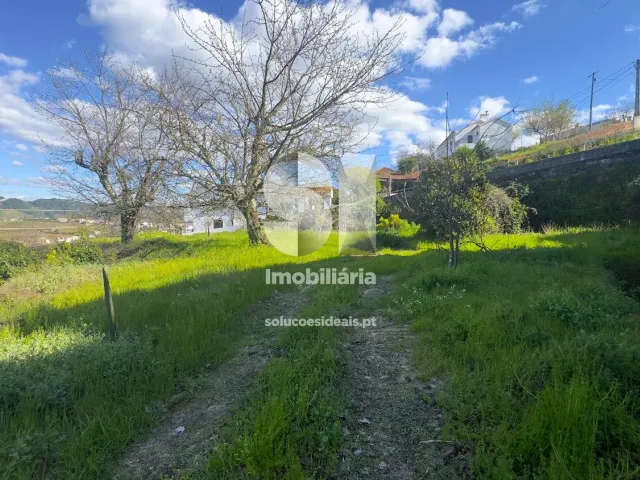 Moradia T4 - Cumieira, Santa Marta de Penagui�o, Vila Real - Miniatura: 27/29