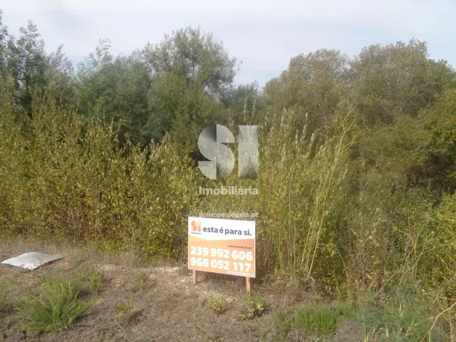 Terreno Urbano T0 - Poiares (Santo Andr�), Vila Nova de Poiares, Coimbra - Miniatura: 4/15