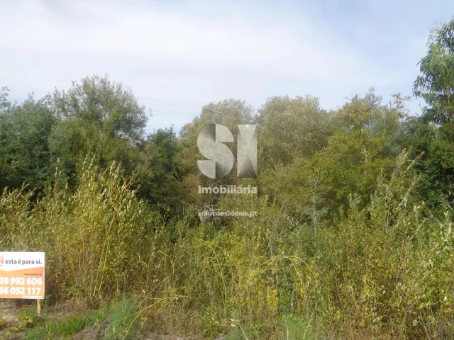 Terreno Urbano T0 - Poiares (Santo Andr�), Vila Nova de Poiares, Coimbra - Miniatura: 5/15