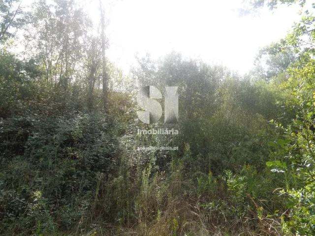 Terreno Urbano T0 - Poiares (Santo Andr�), Vila Nova de Poiares, Coimbra - Miniatura: 7/15