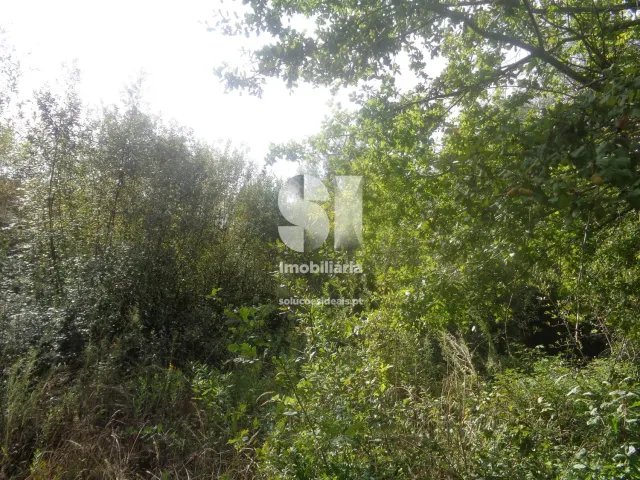 Terreno Urbano T0 - Poiares (Santo Andr�), Vila Nova de Poiares, Coimbra - Miniatura: 12/15