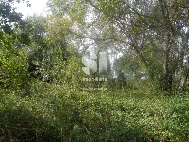 Terreno Urbano T0 - Poiares (Santo Andr�), Vila Nova de Poiares, Coimbra - Miniatura: 13/15