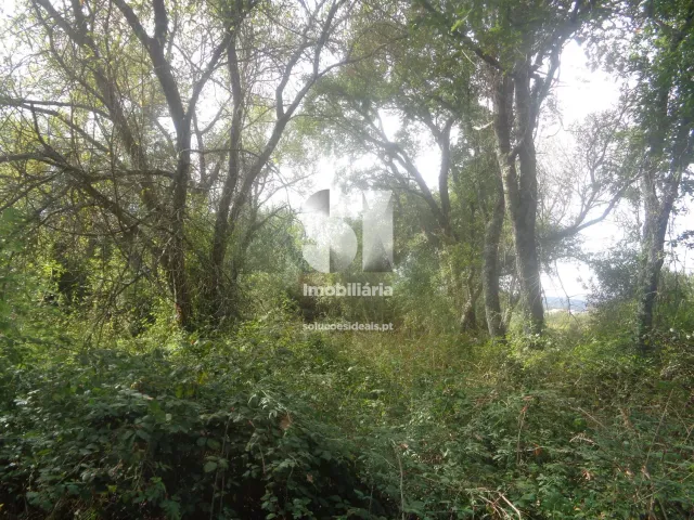 Terreno Urbano T0 - Poiares (Santo Andr�), Vila Nova de Poiares, Coimbra - Miniatura: 14/15