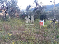 Terreno R�stico T0 - Lous�, Lous�, Coimbra - Miniatura: 8/10