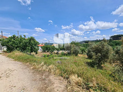 Terreno Urbano T0 - Fragosela, Viseu, Viseu - Miniatura: 12/16