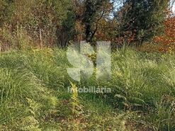 Terreno R�stico T0 - Cust�ias, Matosinhos, Porto - Miniatura: 6/12