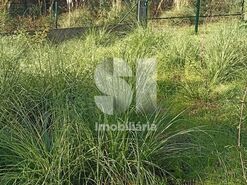 Terreno R�stico T0 - Cust�ias, Matosinhos, Porto - Miniatura: 10/12
