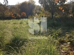 Terreno R�stico T0 - Cust�ias, Matosinhos, Porto - Miniatura: 11/12