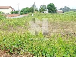 Terreno Urbano T0 - Bustos, Oliveira do Bairro, Aveiro - Miniatura: 3/5