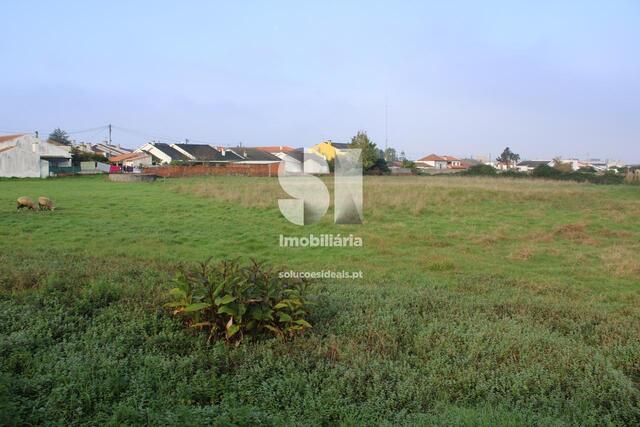 Terreno Rústico - Aveiro, Aveiro, Aveiro - Imagem grande